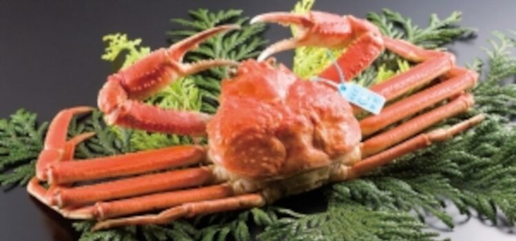 金沢ファンセレクトカップにファン投票をしよう！